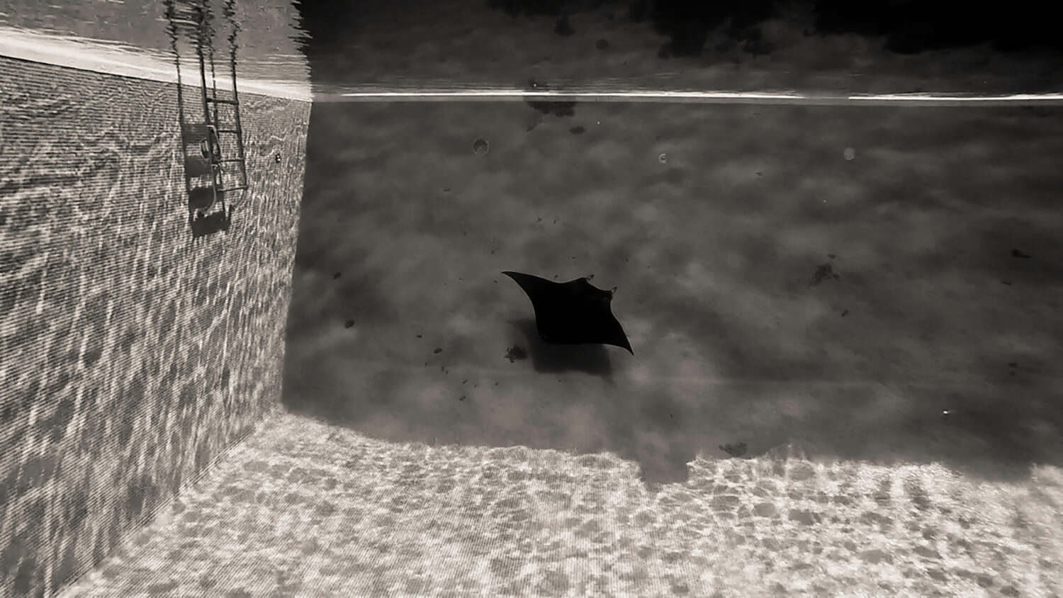 Enfin le fond. Fini L'infini.