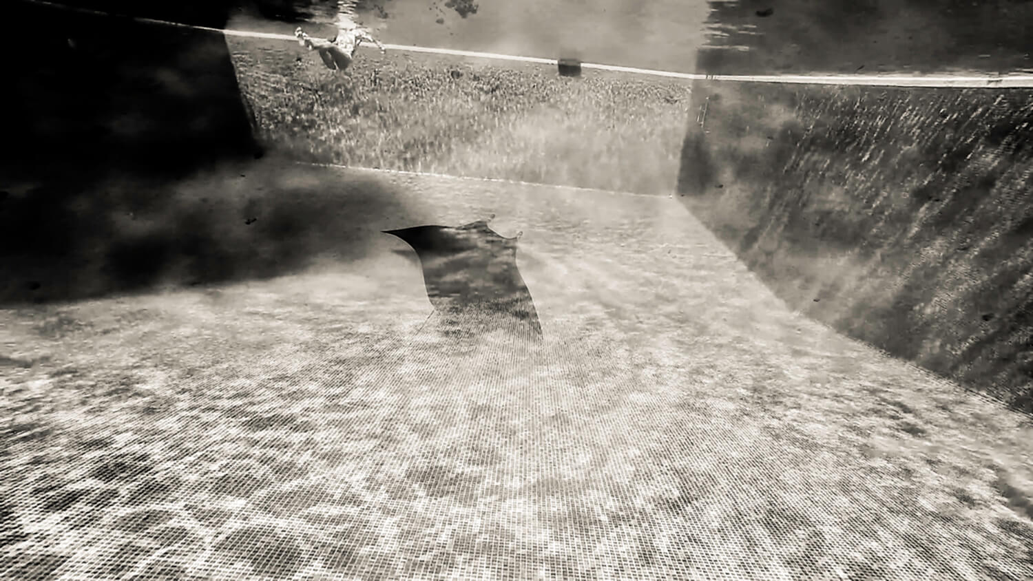 Enfin le fond. Fini L'infini.