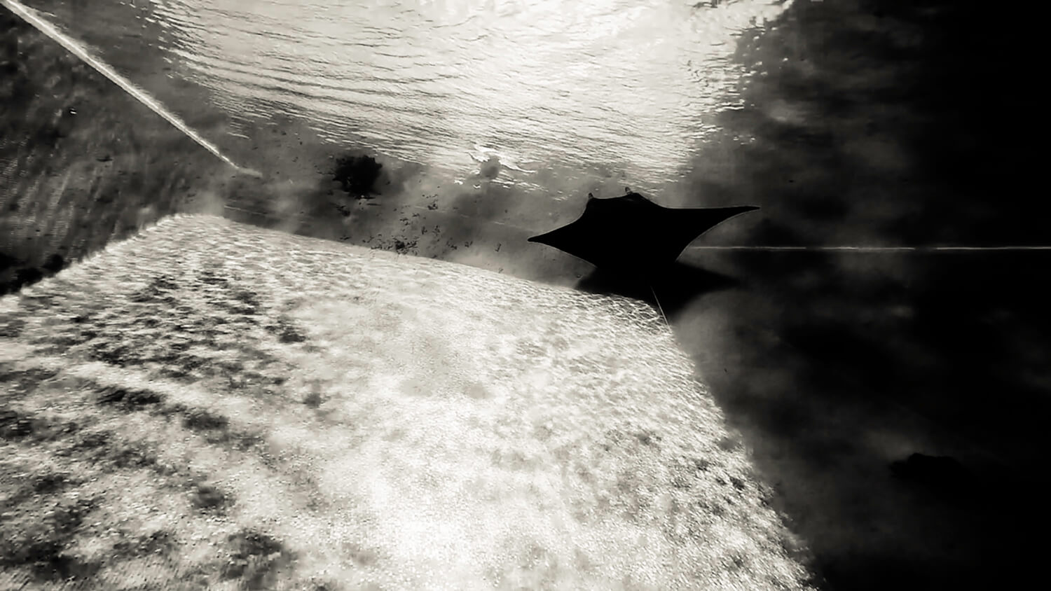 Enfin le fond. Fini L'infini.