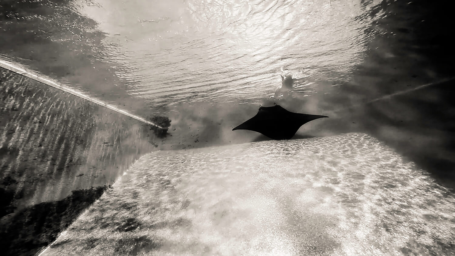 Enfin le fond. Fini L'infini.