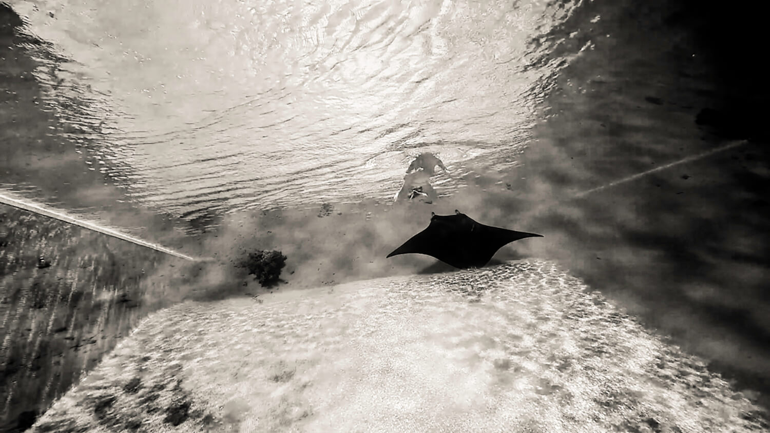 Enfin le fond. Fini L'infini.